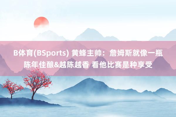 B体育(BSports) 黄蜂主帅：詹姆斯就像一瓶陈年佳酿&越陈越香 看他比赛是种享受
