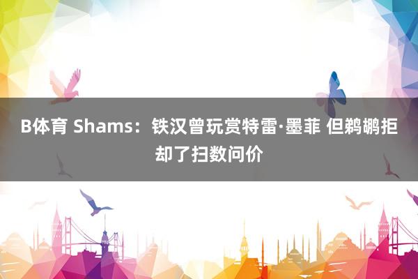 B体育 Shams：铁汉曾玩赏特雷·墨菲 但鹈鹕拒却了扫数问价