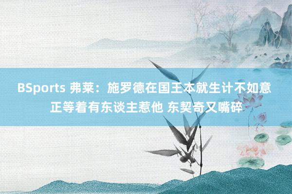 BSports 弗莱：施罗德在国王本就生计不如意 正等着有东谈主惹他 东契奇又嘴碎