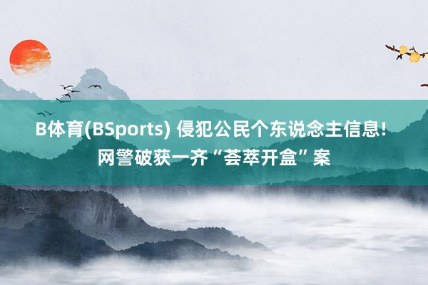 B体育(BSports) 侵犯公民个东说念主信息! 网警破获一齐“荟萃开盒”案