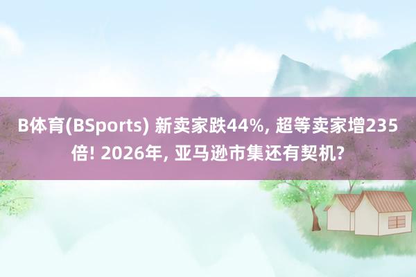 B体育(BSports) 新卖家跌44%， 超等卖家增235倍! 2026年， 亚马逊市集还有契机?
