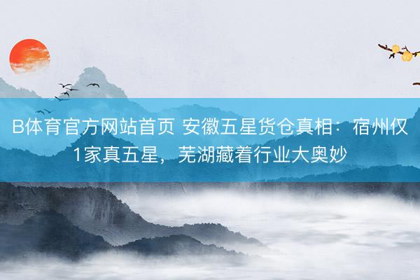 B体育官方网站首页 安徽五星货仓真相：宿州仅1家真五星，芜湖藏着行业大奥妙