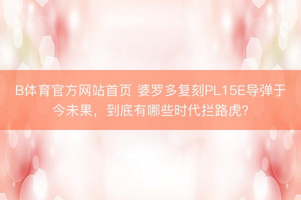 B体育官方网站首页 婆罗多复刻PL15E导弹于今未果，到底有哪些时代拦路虎？