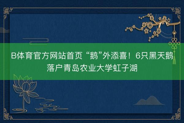 B体育官方网站首页 “鹅”外添喜！6只黑天鹅落户青岛农业大学虹子湖
