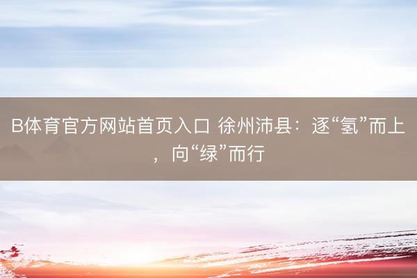 B体育官方网站首页入口 徐州沛县：逐“氢”而上，向“绿”而行