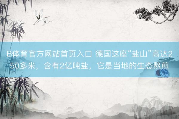 B体育官方网站首页入口 德国这座“盐山”高达250多米，含有2亿吨盐，它是当地的生态熬煎