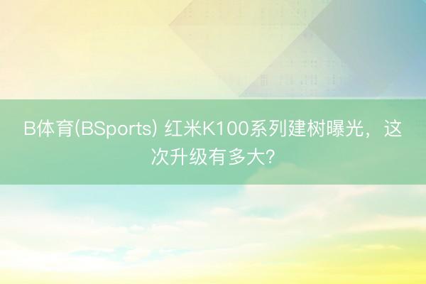B体育(BSports) 红米K100系列建树曝光，这次升级有多大？